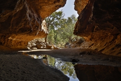 Tunnel Creek NP