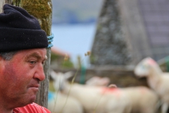 Dursey Island II