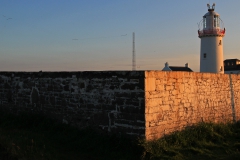 Hook Head I